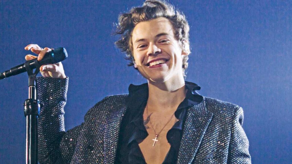 Harry Styles Net Worth