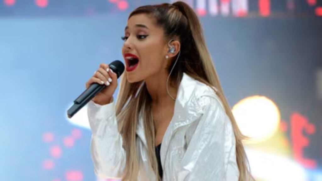 Breakdown of Ariana Grande’s 2025 concert income showing tax deductions, expenses, and business reinvestments.