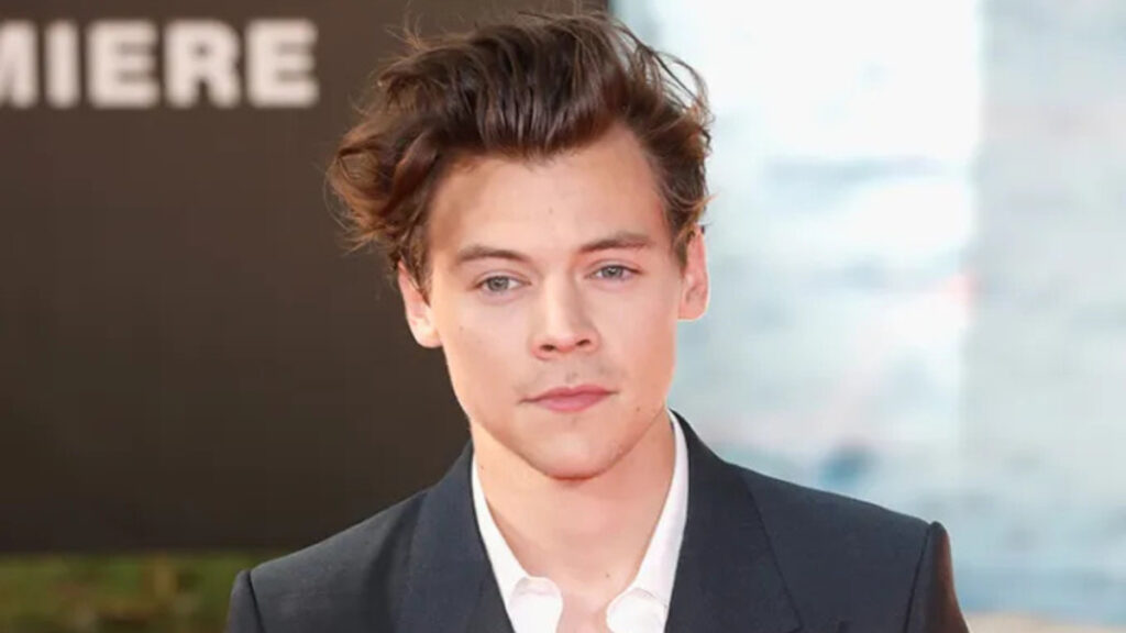 Harry Styles dressed in designer fashion, symbolizing his rising net worth and income from music, acting, and brand ventures.